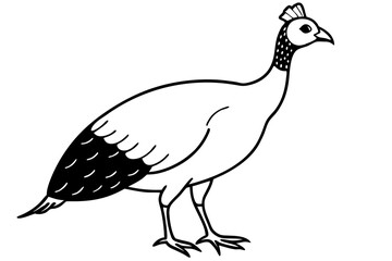guineafowl silhouette line art vector illustration with a white background