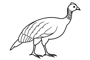 guineafowl silhouette line art vector illustration with a white background
