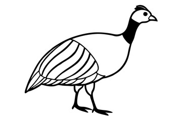guineafowl silhouette line art vector illustration with a white background