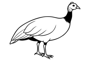 guineafowl silhouette line art vector illustration with a white background