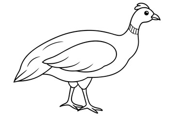 guineafowl silhouette line art vector illustration with a white background