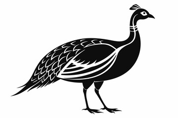 guineafowl silhouette line art vector illustration with a white background
