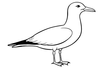 gull silhouette line art vector illustration with a white background