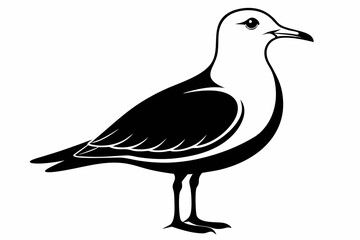 Obraz premium gull silhouette line art vector illustration with a white background