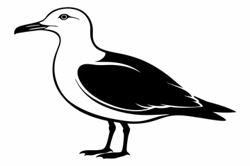 gull silhouette line art vector illustration with a white background