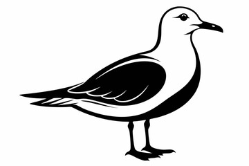 gull silhouette line art vector illustration with a white background