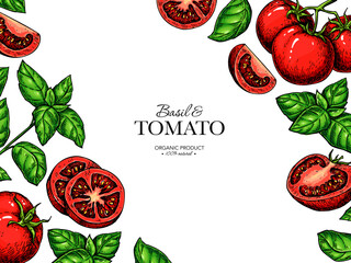 Tomato and basil leaves label drawing. Whole, sliced tomatoes, basil branch frame sketch Package design template, banner