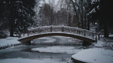 Snowy park bridge over frozen pond