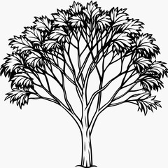 Naklejka premium Silhouette of a tree with detailed leaves against a white background