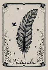 A Stamp Style Feather And Flower Border Art, Old Style Design And Colors, Classic And Vintage Design