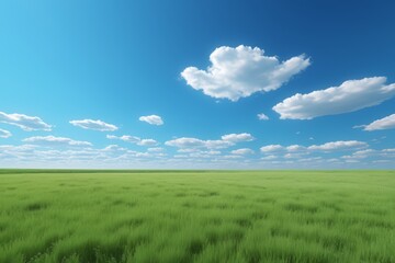 Fototapeta premium arafed view of a field of green grass with a blue sky