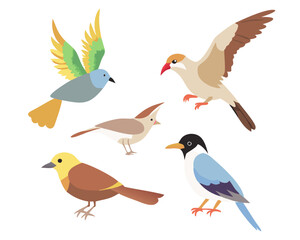 A bird set vector. features various detailed bird illustrations in different poses, including flying, perching, and soaring, perfect for logos, branding, prints, web icons, and digital design.