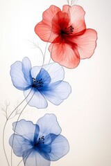 Obraz premium Delicate floral illustration featuring red and blue translucent flowers on a light background.