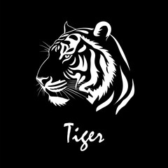 Tiger head on black background. hand drawing. Not AI, Vector illustration