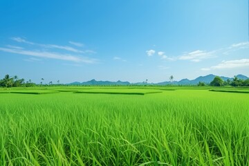 Obraz premium arafed view of a green field with mountains in the background
