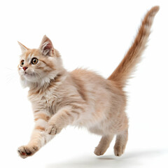 A Stunning Tabby Cat in MidLeap Graceful Movement and Feline Agility