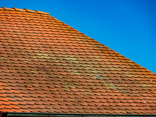 Viel Moos auf einem alten Dach