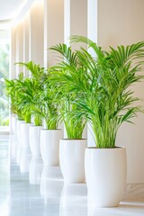 Fototapeta premium Modern minimalist hotel lobby featuring a vertical garden with lush tropical plants and serene ambiance created by warm lighting and marble floors