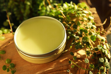 Natural solid perfume and plant on wood, closeup