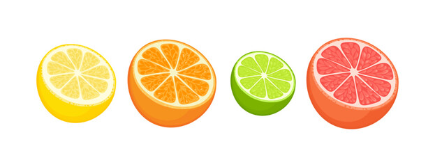 Obraz premium Lemon, lime, orange and grapefruit cut in half. Citrus fruits set. Vector cartoon flat illustration.