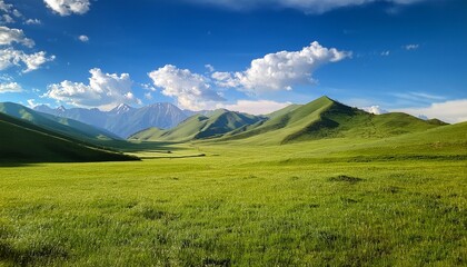 Obraz premium nature landscape with green meadows blue sky with clouds and mountains in the background classic green landscape generative ai