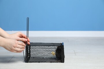 Woman holding metal mouse trap with rat indoors, closeup. Space for text