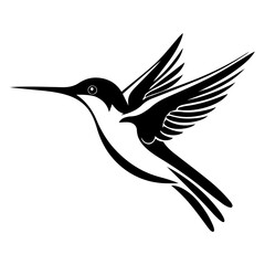 Fototapeta premium Hummingbird bird on white background.Elements for design.