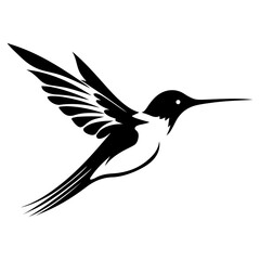 Fototapeta premium Hummingbird bird on white background.Elements for design.