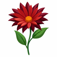 Vibrant Red Flower Blooming with Lush Petals Against a White Background