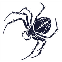 silhouette spider on white background 