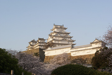 満開の桜と国宝姫路城の天守閣

