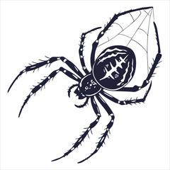 silhouette spider on white background 