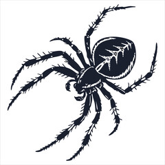silhouette spider on white background 