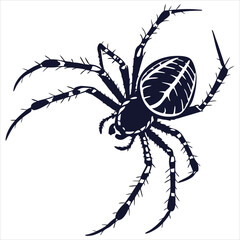 silhouette spider on white background 