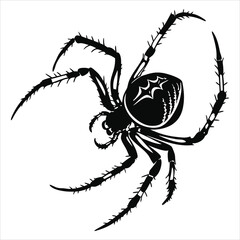 silhouette spider on white background 