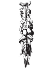 Vintage engraving of bunch of corns and grapes