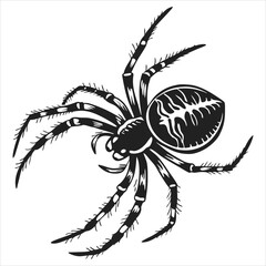 silhouette spider on white background 