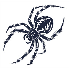 silhouette spider on white background 