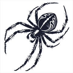silhouette spider on white background 