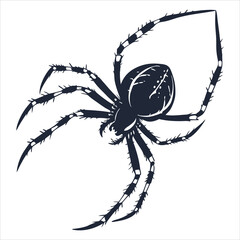 silhouette spider on white background 