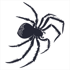 Obraz premium silhouette spider on white background 