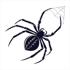 silhouette spider on white background 