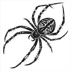 silhouette spider on white background 