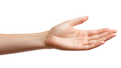 PNG Hand finger palm