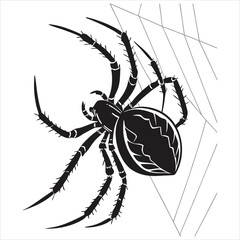 silhouette spider on white background 