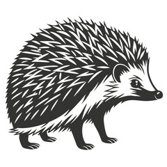 Obraz premium Eagle Silhouette for Nature Illustrations