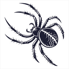 silhouette spider on white background 