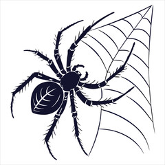 silhouette spider on white background 