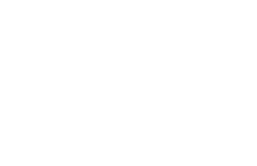 spider web no background