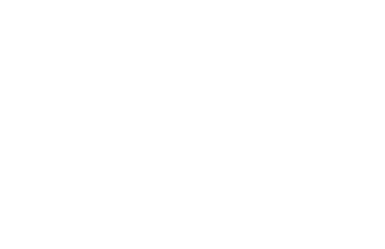 spider web no background